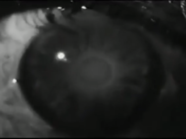 Film sb